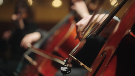 symphonic orchestra is performing classical music concert on scene of opera house closeup view