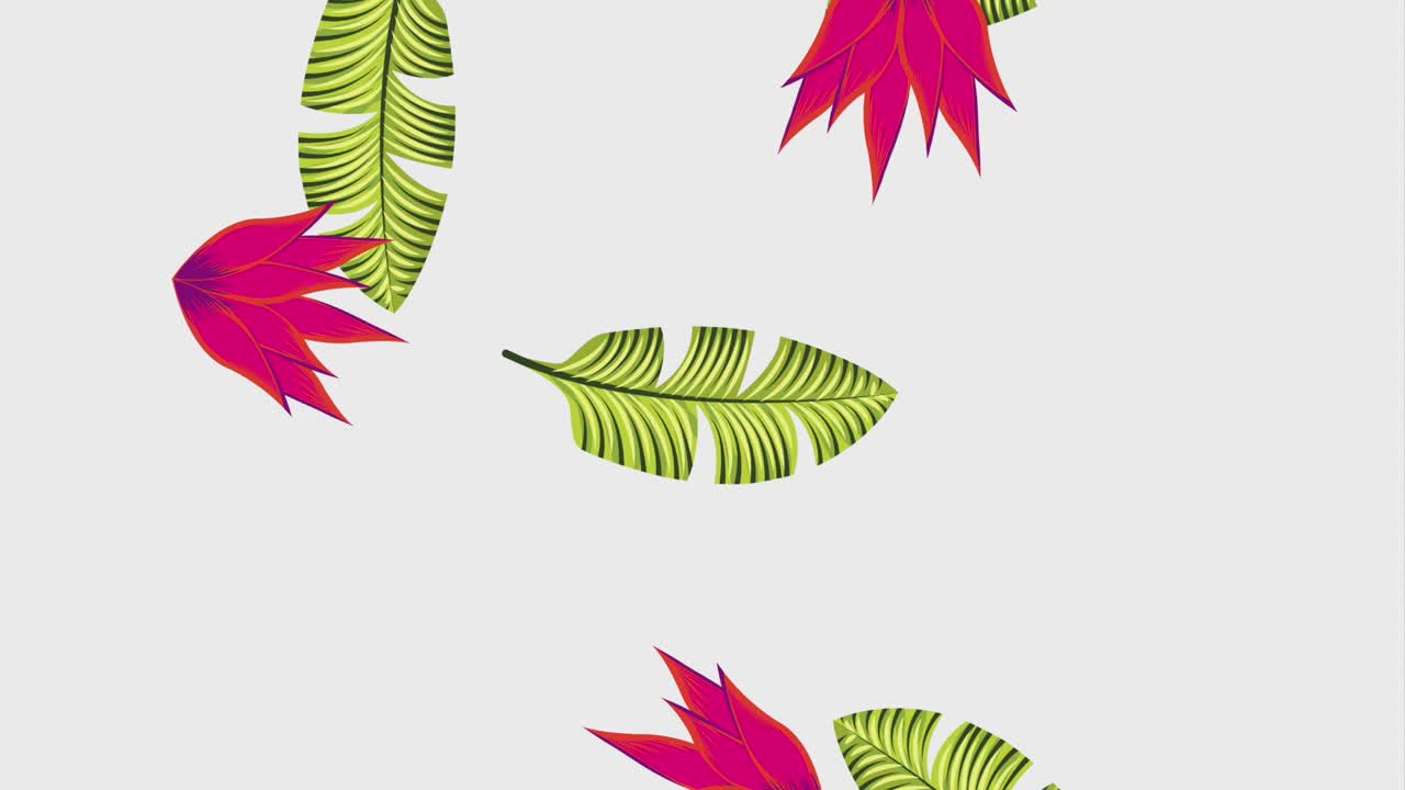 plantilla de verano tropical