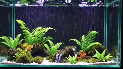 aquarium with artificial plants and waterfall