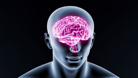 conceptual image of a human head with a glowing brain