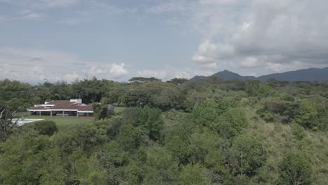 Rivers-and-trees-of-Colombia-4