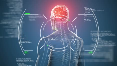 animación de escaneo de alcance sobre procesamiento de datos y modelo giratorio del cuerpo humano en fondo azul