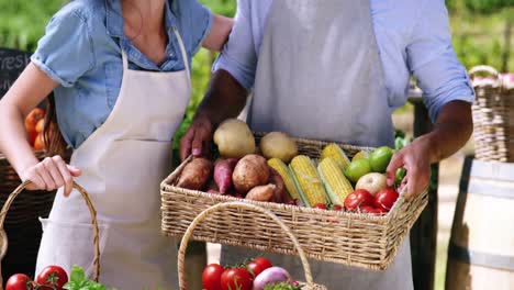 Happy-couple-holding-fresh-vegetables-in-basket
