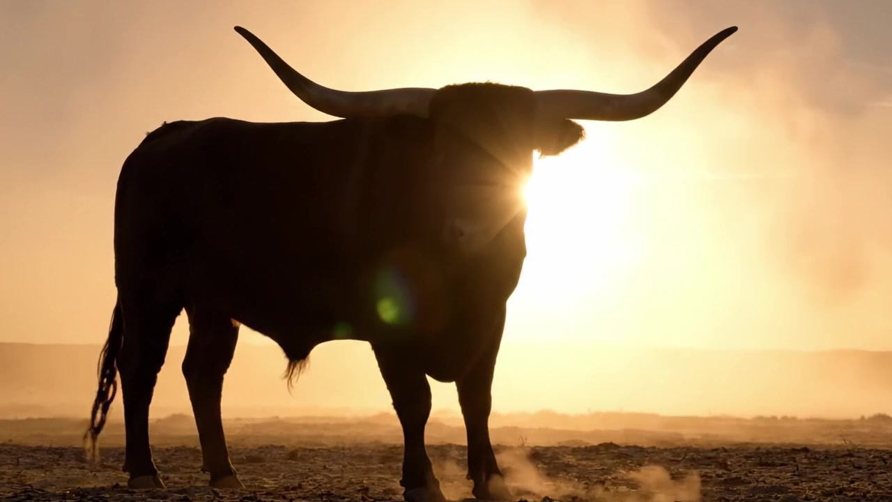 A Majestic Silhouette of a Bull Against a Stunning Sunset in a Natural Landscape, Capturing the Beauty of Nature and Livestock Interaction in the Wild