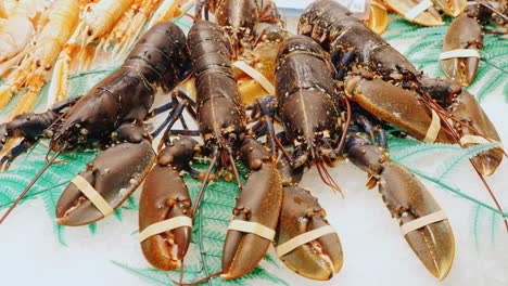 large lobsters on the fish market lie on ice cubes 1