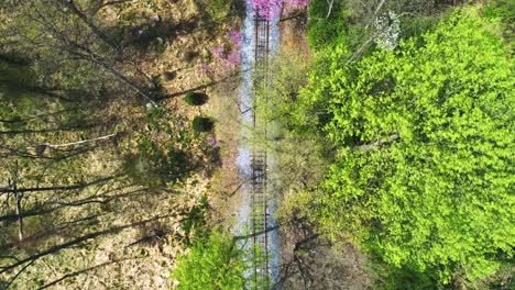 an aerial down angle view of a wooded area with a lonely single rail road track