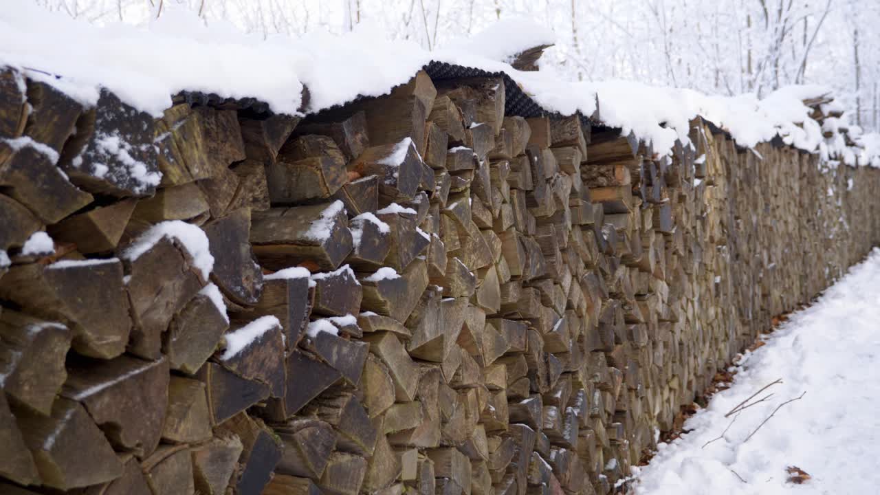 moviéndose junto a una enorme pila de leña cubierta de nieve en un bosque durante el invierno en baviera, alemania