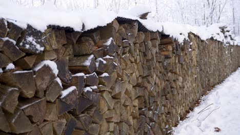 Bewegen-Sie-Sich-Im-Winter-In-Bayern,-Deutschland,-Neben-Einem-Riesigen-Haufen-Schneebedeckten-Brennholzes-In-Einem-Wald