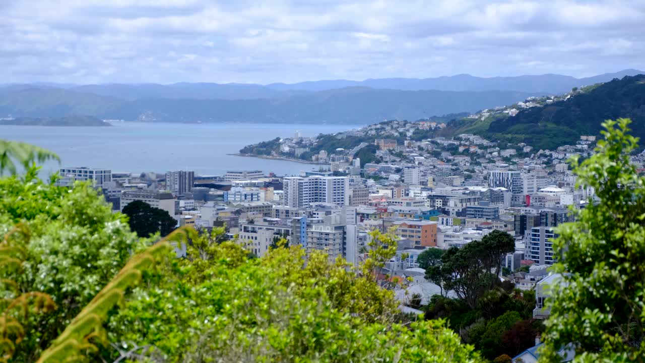 Aerial cityscape view Wellington in New Zealand Aotearoa with high rise skyscraper office buildings and houses on hills overlooking harbour