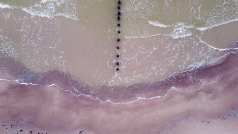 beautiful aerial view of an old wooden pier at the baltic sea coastline, overcast day, white sand beach affected by sea coastal erosion, calm seashore, ascending wide angle birdseye drone shot