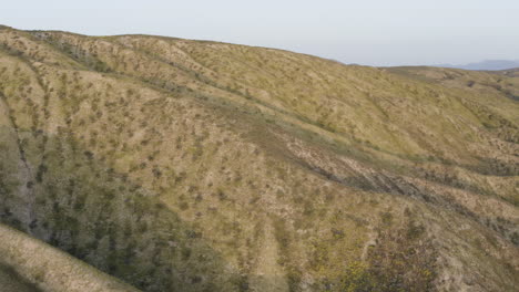 Aerial-shot-of-mountain-ridges-near-Carrizo-Plain-National-Monument,-California