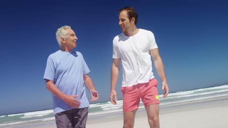 father and son interacting with each other at beach