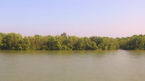 Möwen-Fliegen-In-Der-Nähe-Eines-Bootes,-Während-Sie-In-Einem-Tropischen-Fluss-Segeln