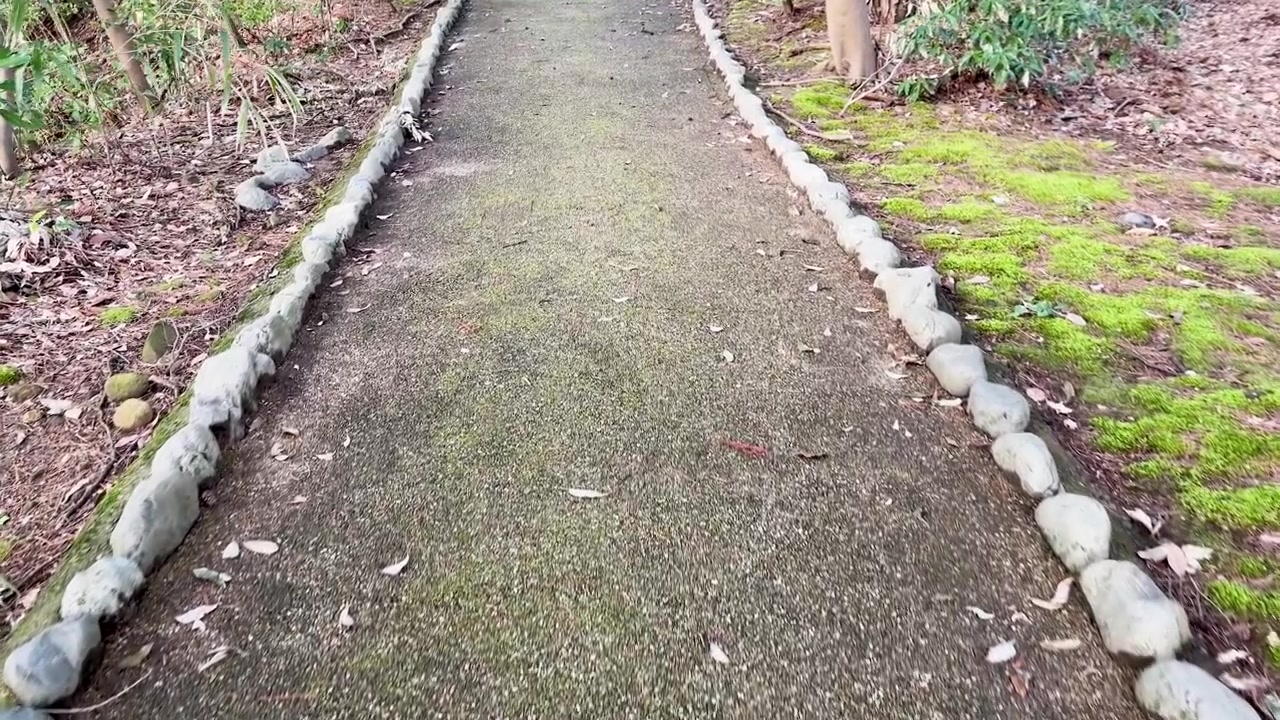 A slow forward tracking shot follows a mossy gravel path lined with granite stones