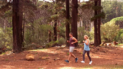 Pareja-Corriendo-Por-Un-Bosque