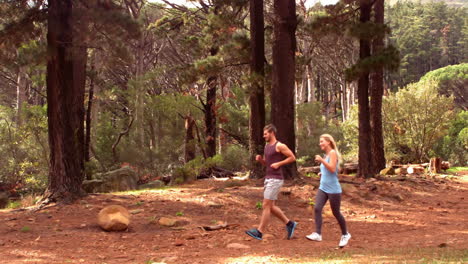 couple jogging through a forest