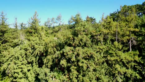 una subida rápida y una panorámica a la derecha para revelar una ciudad