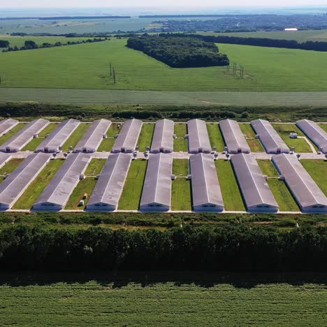 a number of big stables on the modern farming plant. modern farming area in the farmlands. aerial view. vast agricultural fields at the backdrop