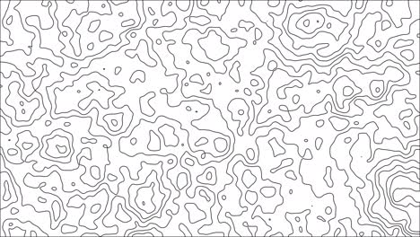 abstract animated outline topographic map. moving waves on white background.