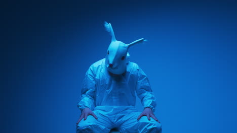 person in a rabbit mask and blue suit