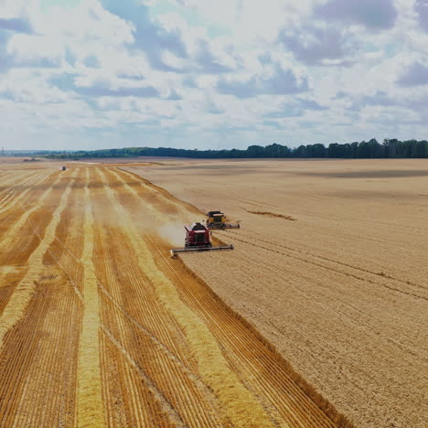 flying over golden field with seasonal works. combines are harvesting ripe crop in a bright summer day. agricultural concept. aerial view.