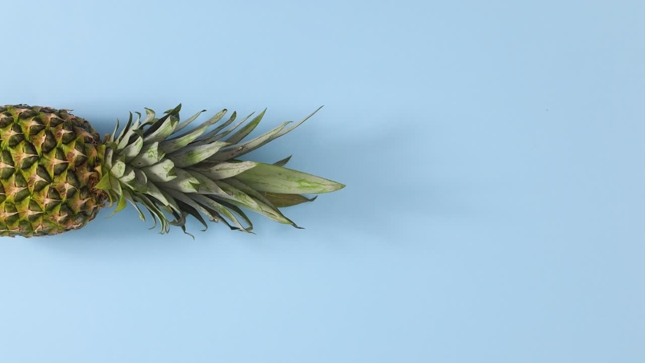 giro de piña en su lugar en el lado izquierdo del tema azul pastel. detener el movimiento