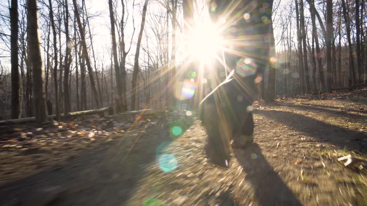 Hiking trail through the woods