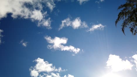 a timelapse of clouds passing on a blue sky with part of a tree in a a side of the shot