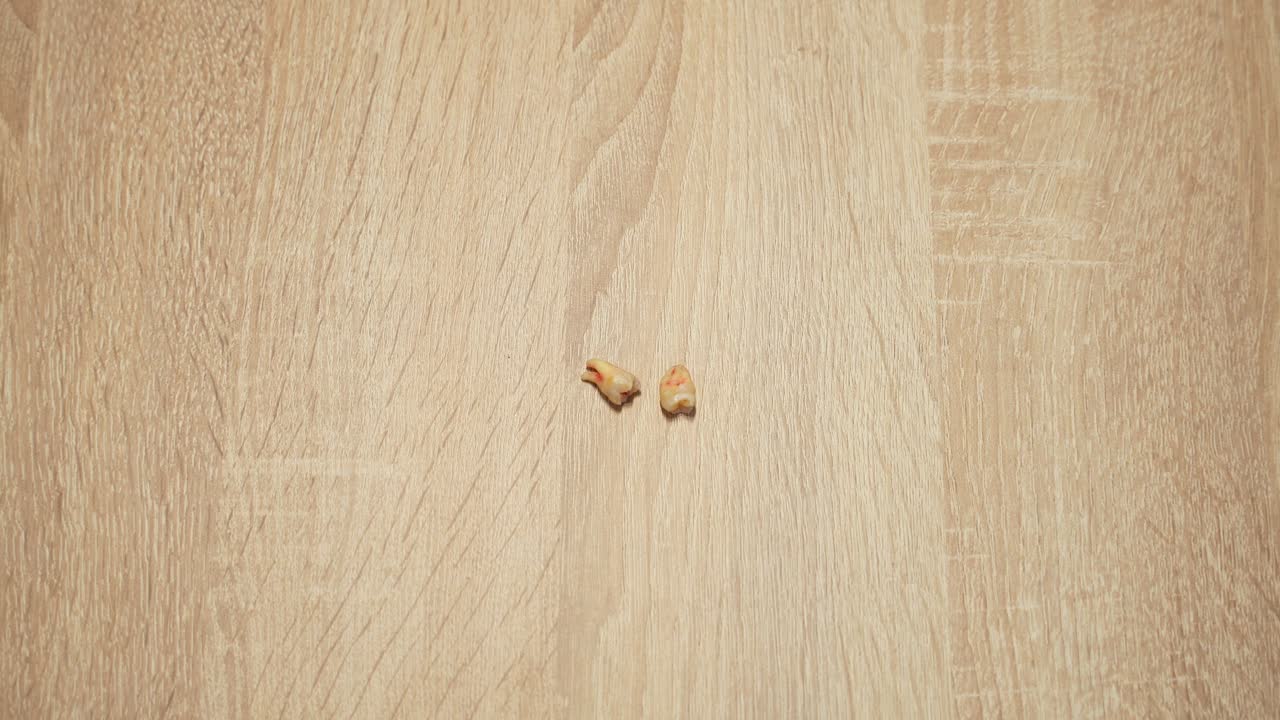 나무 가구에 건조한 피가 있는 두 개의 지혜 치아의 에서 을 니다.