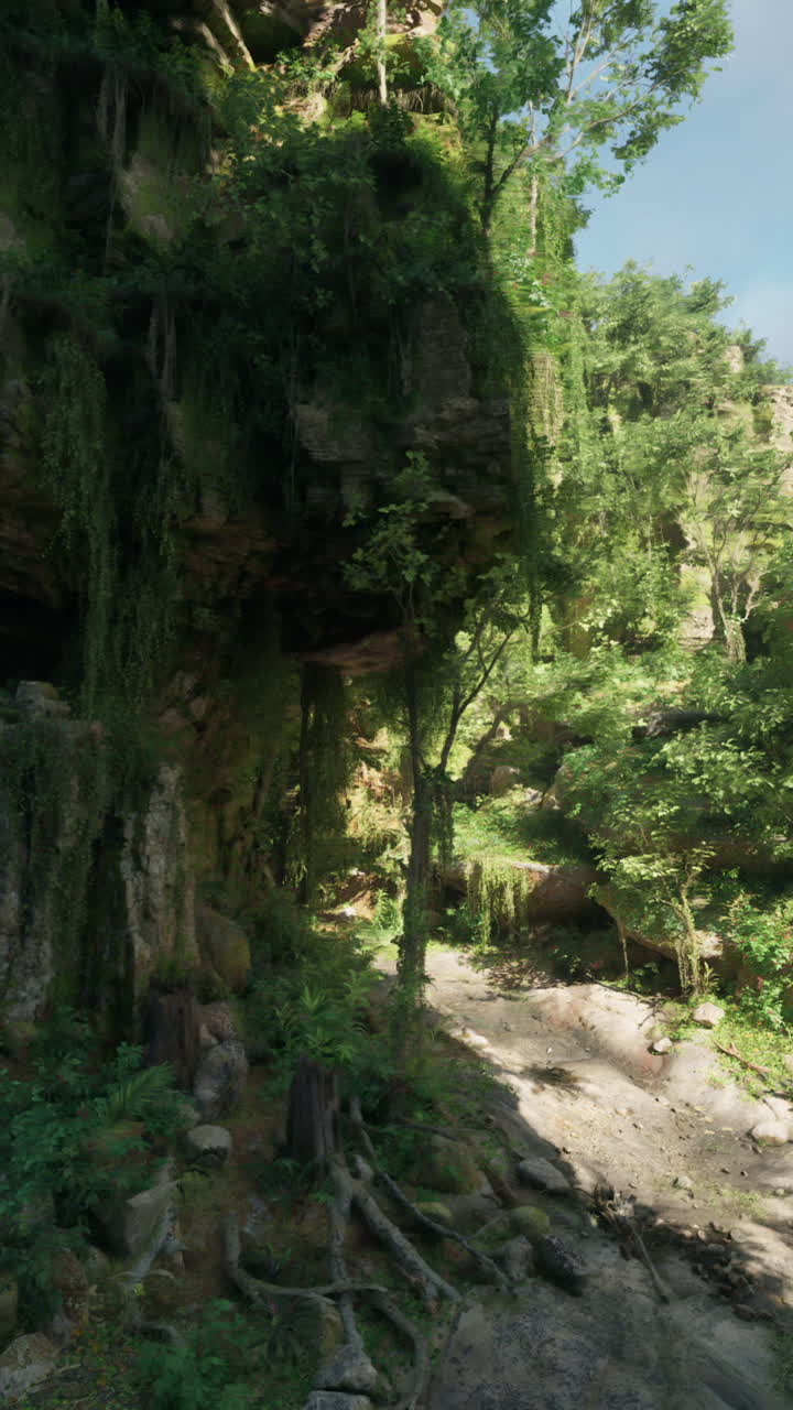 camino de la selva a través de rocas y árboles