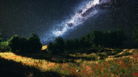 árboles verdes bosques en el parque bajo el cielo estrellado de la noche