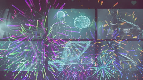 animation of fireworks over screens with human anatomy data