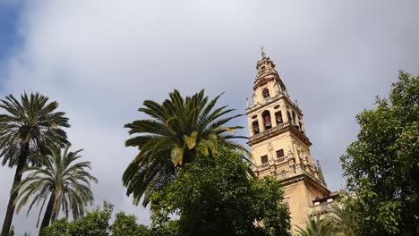 campanario de la catedral de la mezquita de córdoba y palmeras andalucía, españa