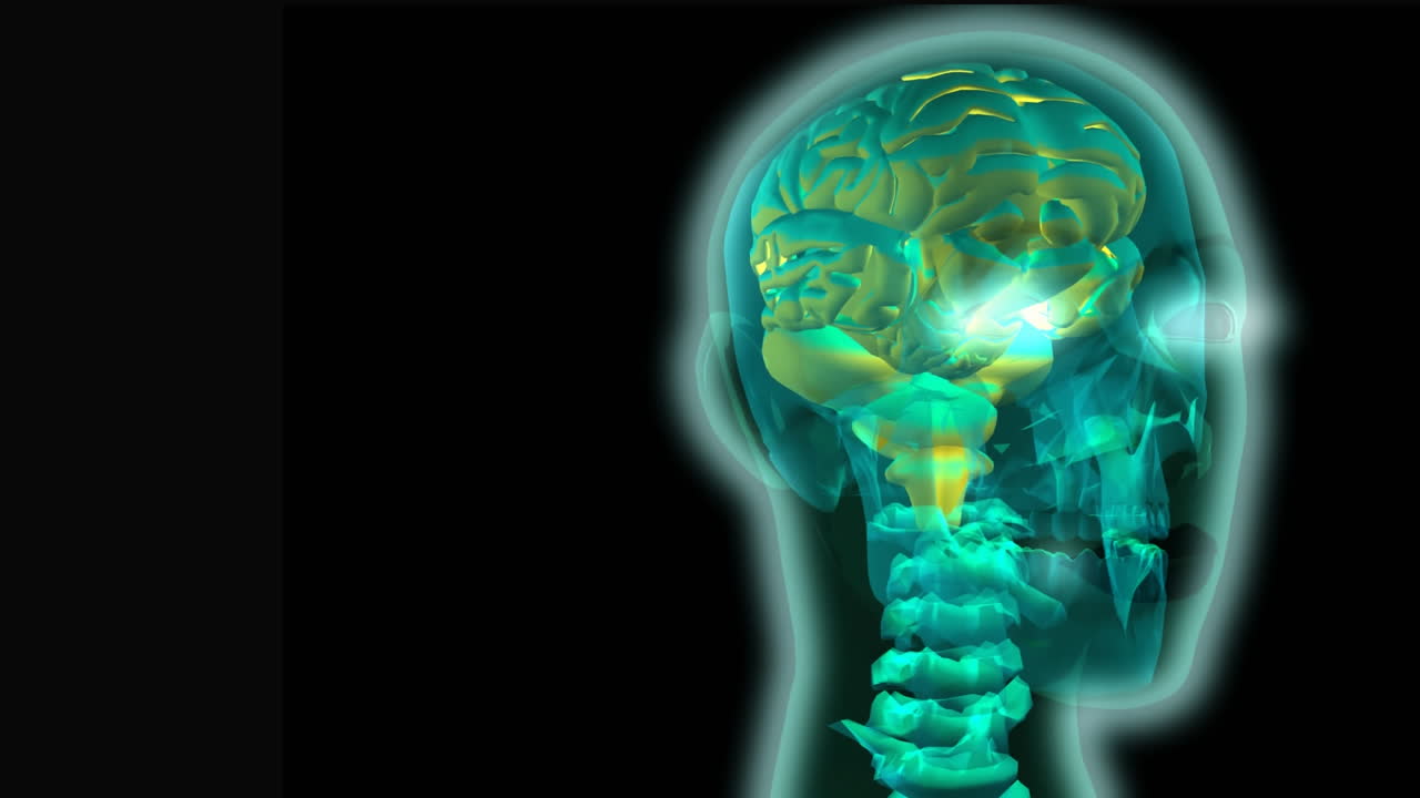 circuito digital y un cerebro dentro del cráneo