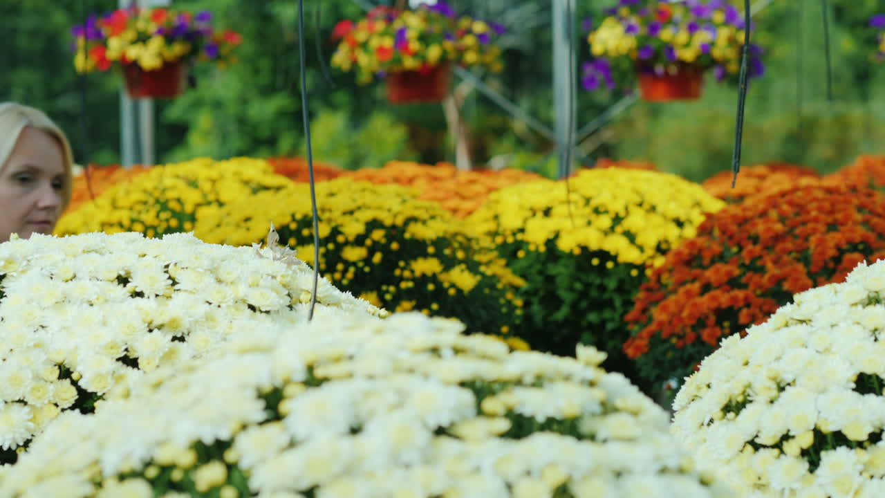 mujer elige flores en invernadero