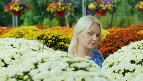 Woman-Chooses-Flowers-in-Greenhouse