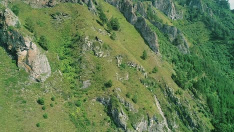 aerial view of green mountain with rocks formations and trees.