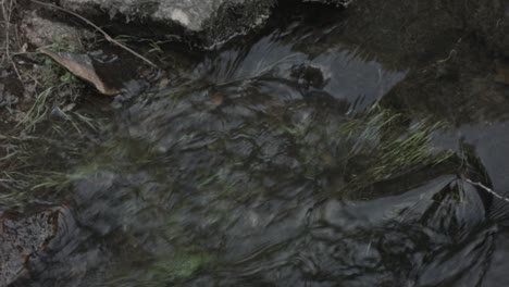 Un-Primer-Plano-De-Agua-Corriente-Sobre-Una-Piedra