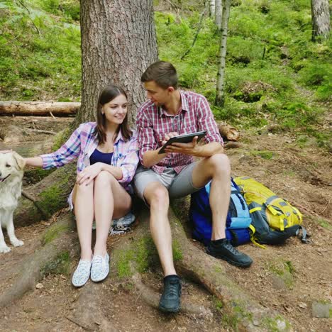 young couple with a dog rest in the forest