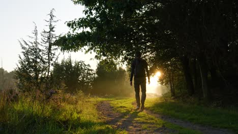 eine person, die bei sonnenaufgang durch einen wald wandert