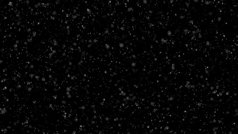snow blizzard focus