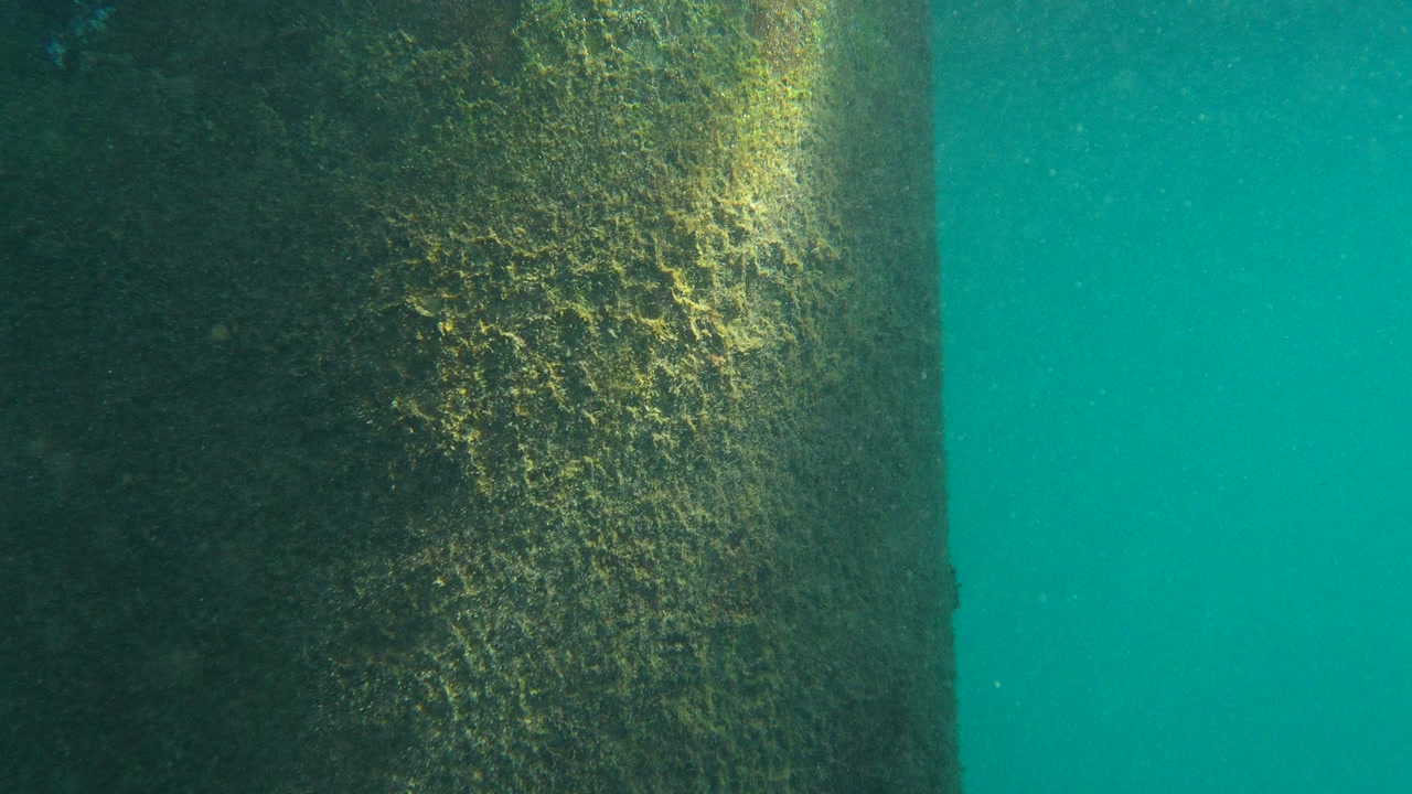 Sun rays shining through murky water on algae-covered pier columns