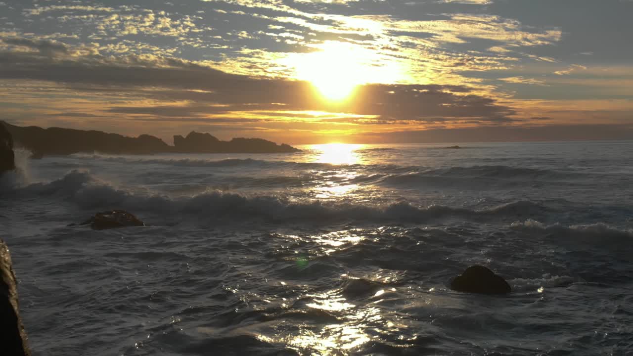 A woman and her dog walking on the beach. This drone footage was taken during sunset in the middle of summer