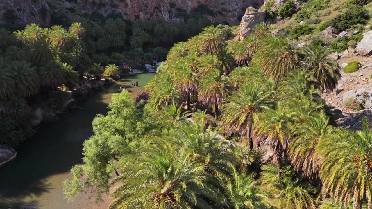 Veduta aerea con drone della fitta foresta di palme lungo la gola del fiume Preveli con bagnanti in una pozza poco profonda, Preveli, Grecia