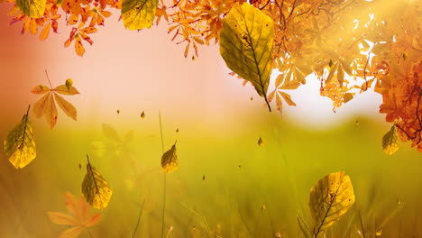 animación de hojas que caen sobre el paisaje de otoño