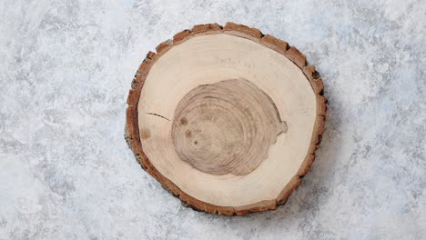 Gealterter-Rissiger-Holzbaumabschnitt