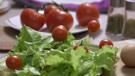 fresh salad with tomatoes