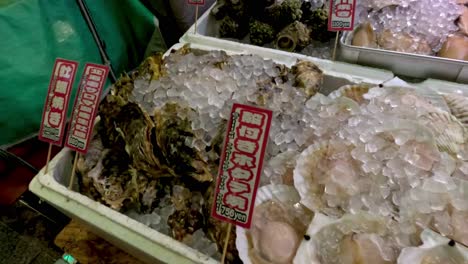 various seafood displayed on ice at market