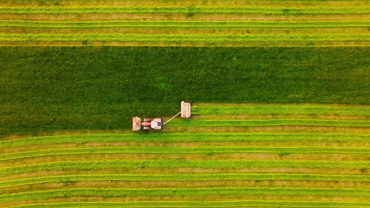 Sunset drone view shows farmer mowing lush grass in Latvian countryside field