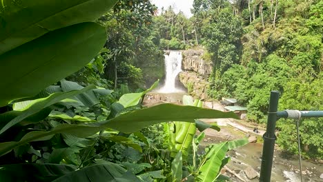 Majestuosa-Cascada-De-La-Selva-Profunda-Con-Hojas-De-Plátano